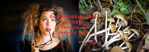мефедрон Алексеевка